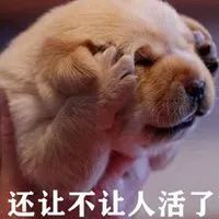 护手霜单支竟低至 343 元OG真人好闻又好用！欧舒丹(图9)