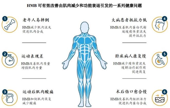 扎根运动健康赛道凭多元布局赢长远未来OG真人平台HMB全球龙头技源集团：(图2)
