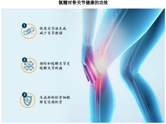 扎根运动健康赛道凭多元布局赢长远未来OG真人平台HMB全球龙头技源集团：(图5)