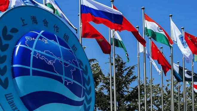 度得到真正的实惠莫迪发文感谢中国OG视讯全员赞成天津宣言通过印(图4)